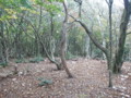 20161023155843
