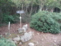 20161023155844