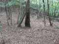 20161023155846