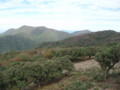 20161023155855