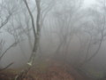 20161120150835