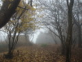 20161120150836