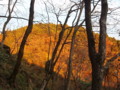 20161211160054