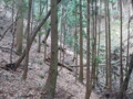 20161211160055