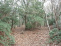 20161211160058