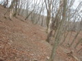 20161211160101
