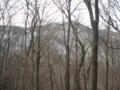 20161211160103