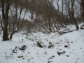 20161211160109