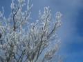 20161211160113