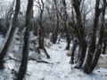 20161211160118