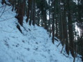 20170128184959