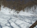 20170128185004