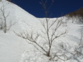 20170128185005