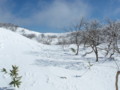 20170128185019