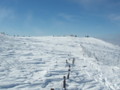 20170128185021