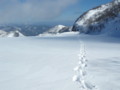 20170128185024