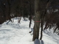 20170128185030