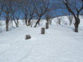 20170218191836