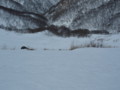 20170218191858