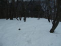 20170218191900