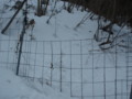 20170218191902