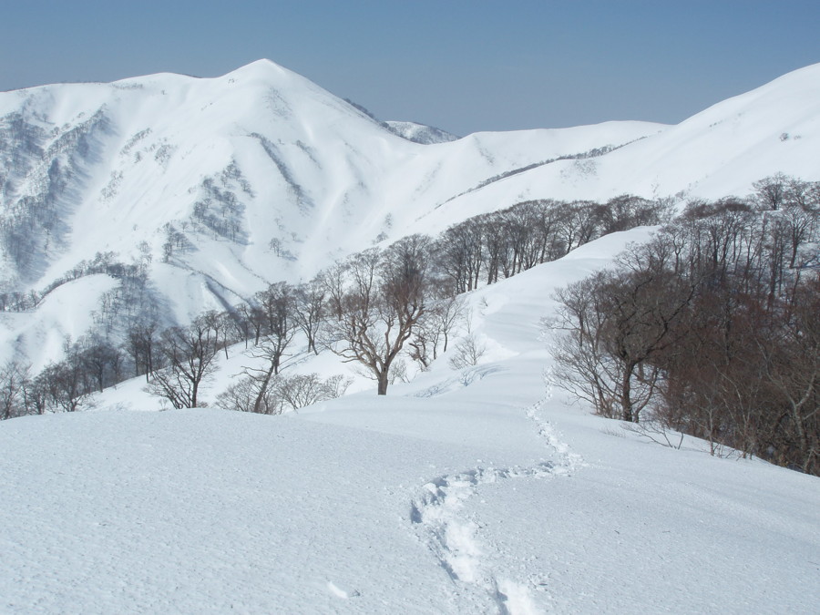f:id:single779:20170304193448j:plain