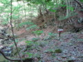20170528180254
