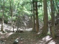 20170528183817