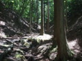 20170528183824