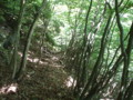 20170528183830