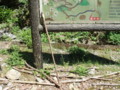 20170528184257