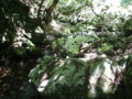 20170528184316