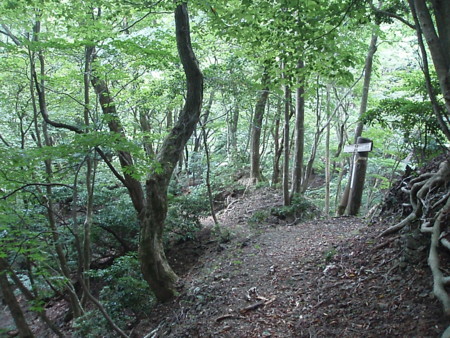 f:id:single779:20170910183516j:plain