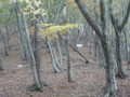 20171104151303