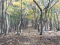 20171104151854
