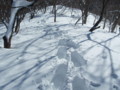 20180114191650