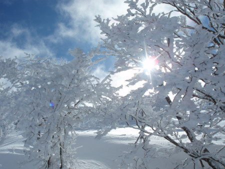 f:id:single779:20180114192336j:plain