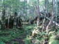 20180716204810