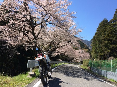 f:id:single779:20190413191557j:plain