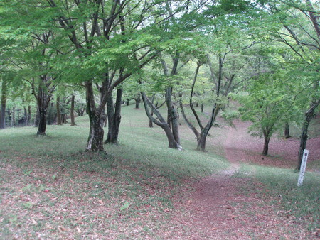 f:id:single779:20190427064848j:plain