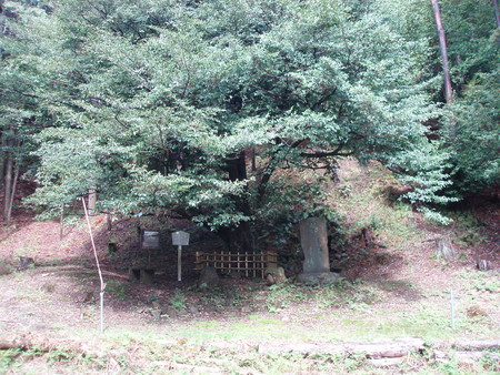 f:id:single779:20190427065049j:plain
