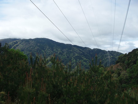 f:id:single779:20190427065142j:plain