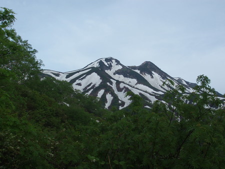 f:id:single779:20190621194030j:plain f:id:single779:20190621194030j:plain