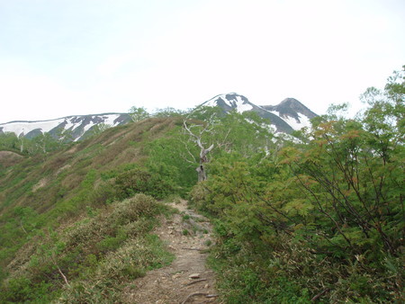 f:id:single779:20190621194058j:plain f:id:single779:20190621194058j:plain