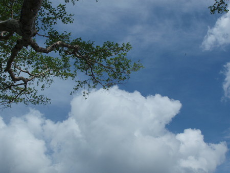 f:id:single779:20190621195458j:plain f:id:single779:20190621195458j:plain