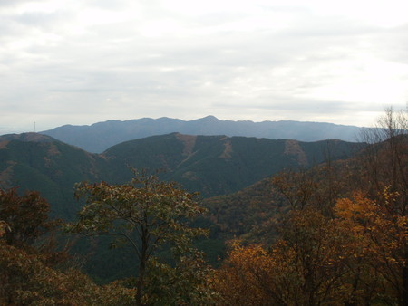 f:id:single779:20201112174225j:plain