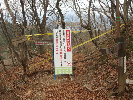 f:id:single779:20201112174312j:plain