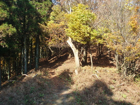 f:id:single779:20201112175052j:plain