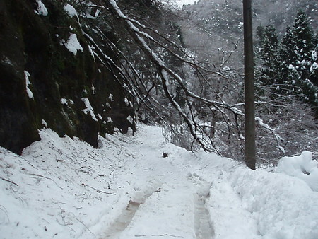 f:id:single779:20201219184115j:plain