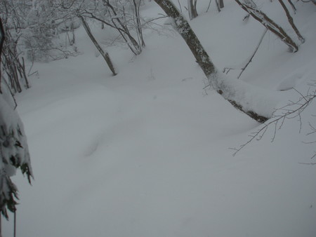 f:id:single779:20201219184155j:plain